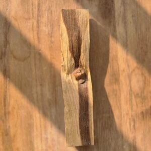 פאלו סנטו עץ קדוש